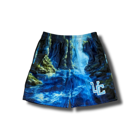 Aqua UC Shorts