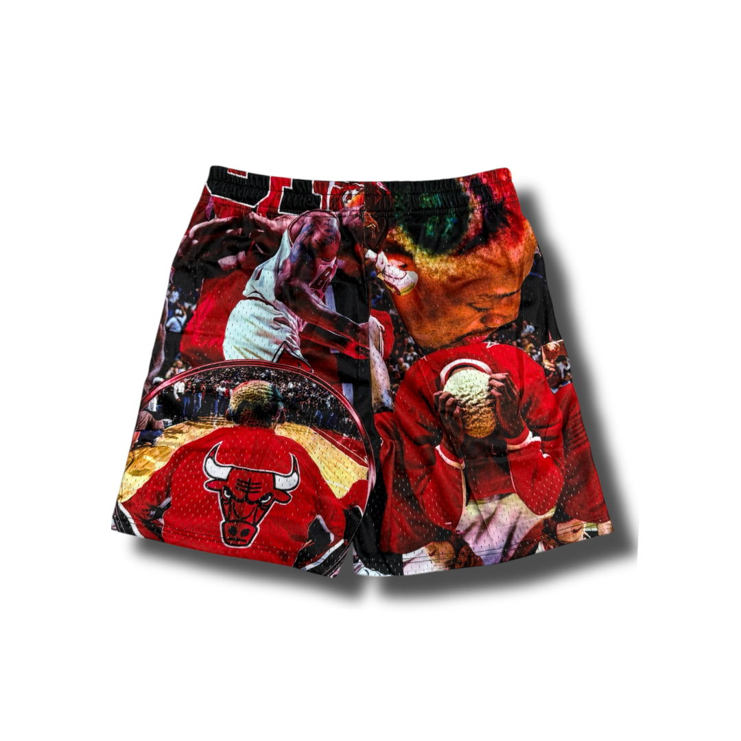 Rodman UC Shorts Back