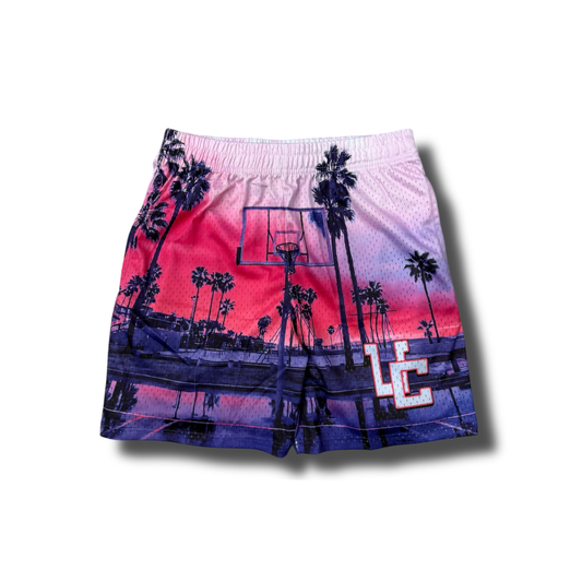 Basketball Court UC Shorts